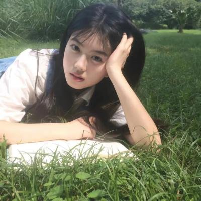 菩提树 在线观看